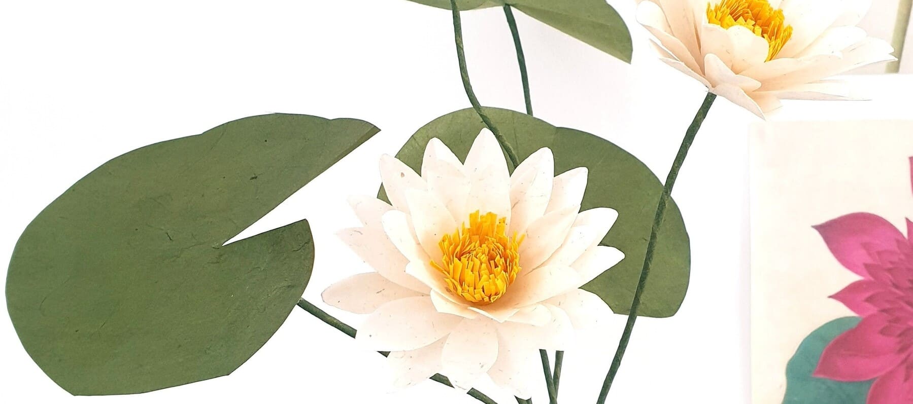 photo tuto lotus